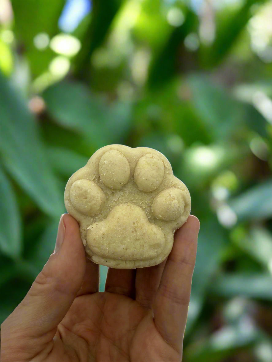 'Īlio Shampoo Bar for Dogs