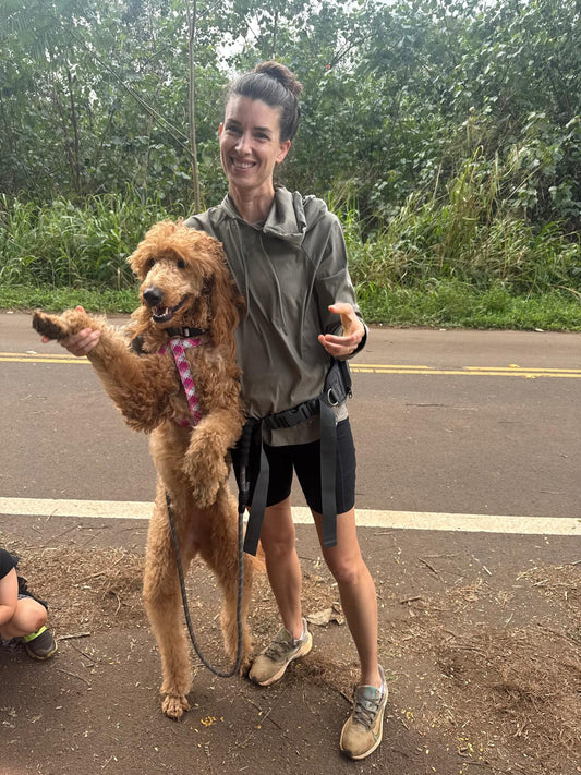 Your Dog Deserves a Summer Routine — Here's Ours